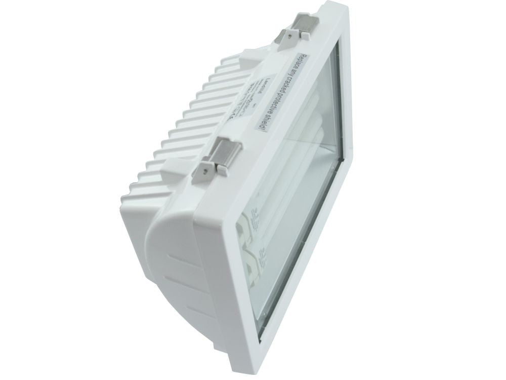 FL-226B flood light – white, with lamps and ballast