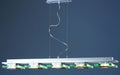 TRAVIS P6005/5L, 5X60W G9, Pendant Lamp